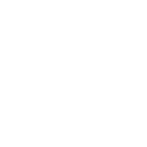 Icon (1)