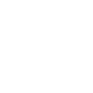 Icons (2)