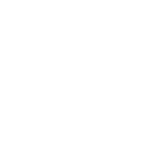 Icons (4)